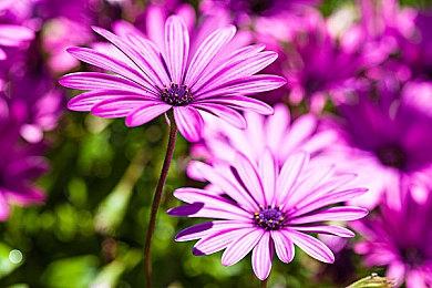 《岛不能倒》登陆Steam 肉鸽卡牌构建生存建造